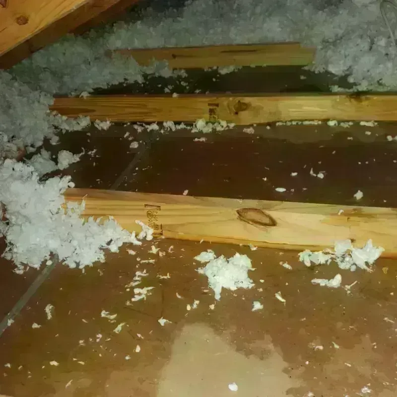 Attic Water Damage in Ravalli County, MT