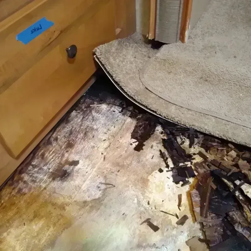 Wood Floor Water Damage in Ravalli County, MT